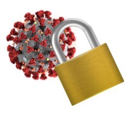 Lessons from Lockdown